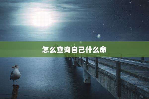 怎么查询自己什么命
