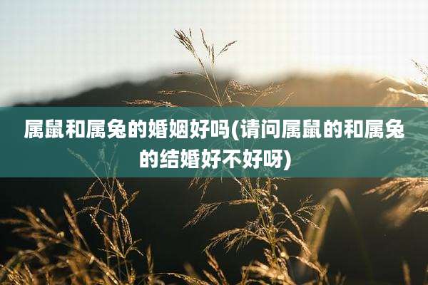 属鼠和属兔的婚姻好吗(请问属鼠的和属兔的结婚好不好呀)