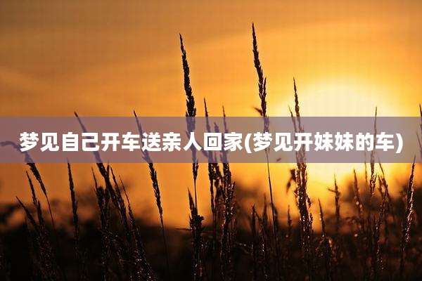 梦见自己开车送亲人回家(梦见开妹妹的车)