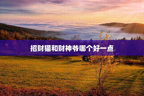 招财猫和财神爷哪个好一点
