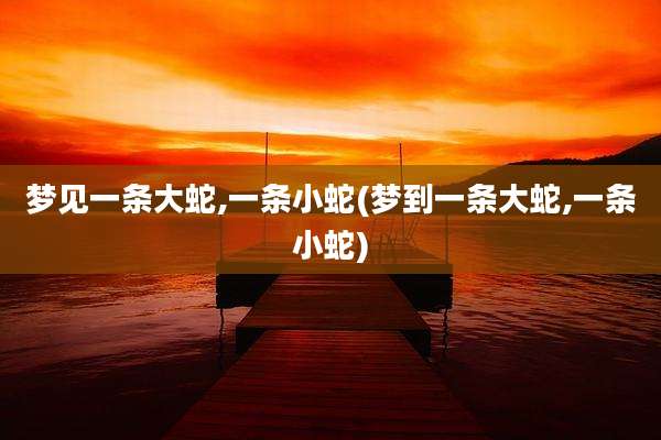 梦见一条大蛇,一条小蛇(梦到一条大蛇,一条小蛇)