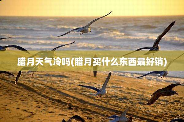 腊月天气冷吗(腊月买什么东西最好销)