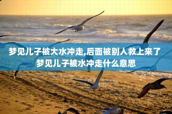 梦见儿子被大水冲走,后面被别人救上来了 梦见儿子被水冲走什么意思