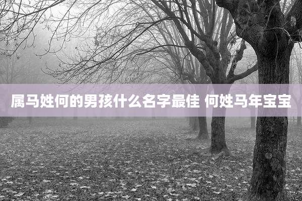 属马姓何的男孩什么名字最佳 何姓马年宝宝