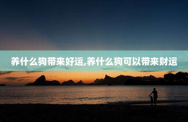 养什么狗带来好运,养什么狗可以带来财运