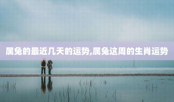 属兔的最近几天的运势,属兔这周的生肖运势