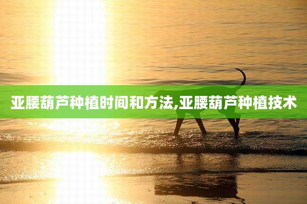 亚腰葫芦种植时间和方法,亚腰葫芦种植技术