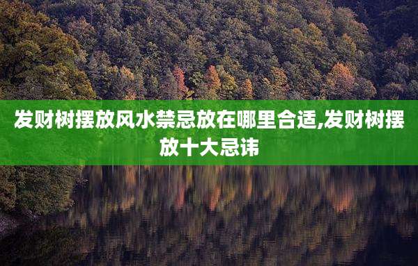 发财树摆放风水禁忌放在哪里合适,发财树摆放十大忌讳