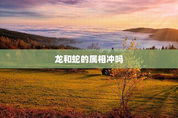 龙和蛇的属相冲吗