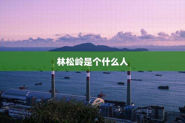 林松岭是个什么人