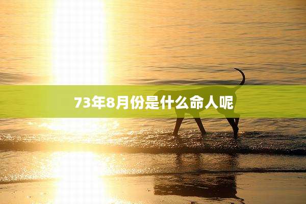 73年8月份是什么命人呢