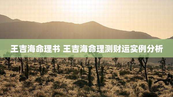 王吉海命理书 王吉海命理测财运实例分析