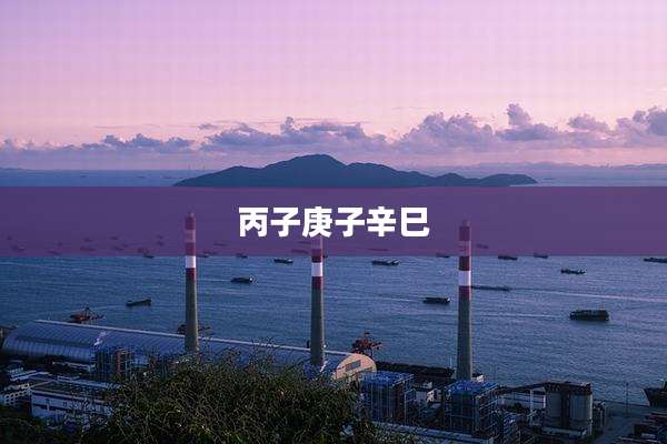 丙子庚子辛巳
