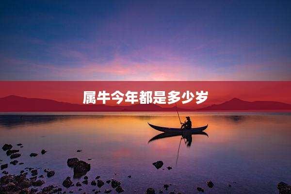 属牛今年都是多少岁