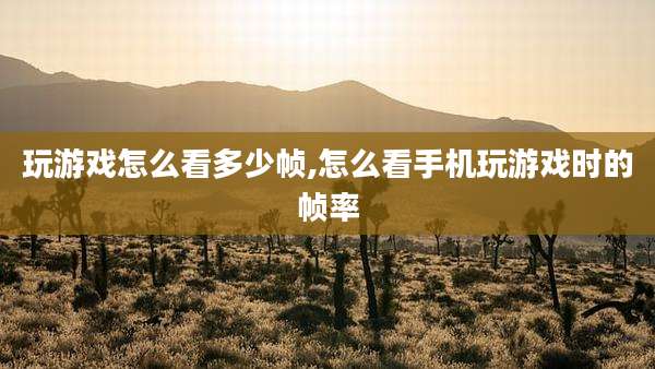 玩游戏怎么看多少帧,怎么看手机玩游戏时的帧率