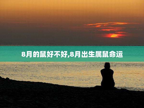 8月的鼠好不好,8月出生属鼠命运