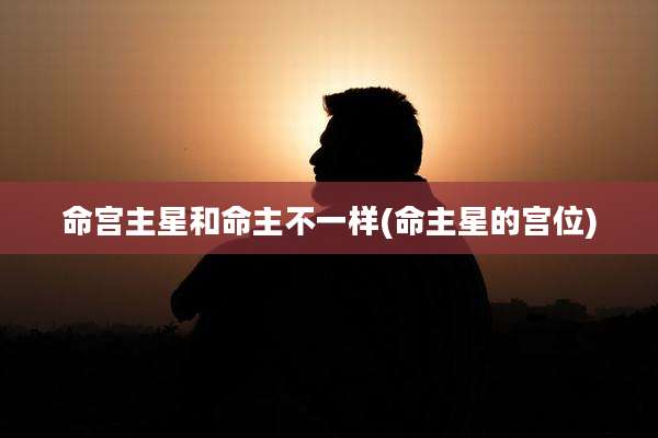 命宫主星和命主不一样(命主星的宫位)