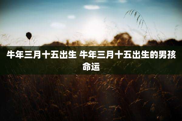 牛年三月十五出生 牛年三月十五出生的男孩命运