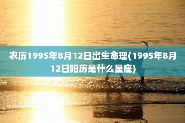 农历1995年8月12日出生命理(1995年8月12日阳历是什么星座)