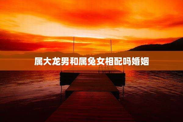 属大龙男和属兔女相配吗婚姻