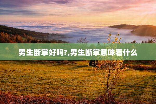 男生断掌好吗?,男生断掌意味着什么