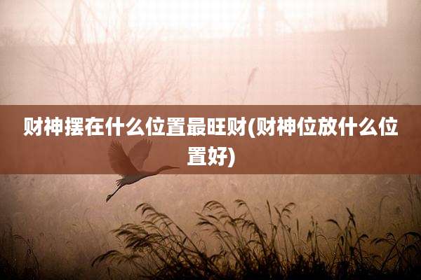 财神摆在什么位置最旺财(财神位放什么位置好)