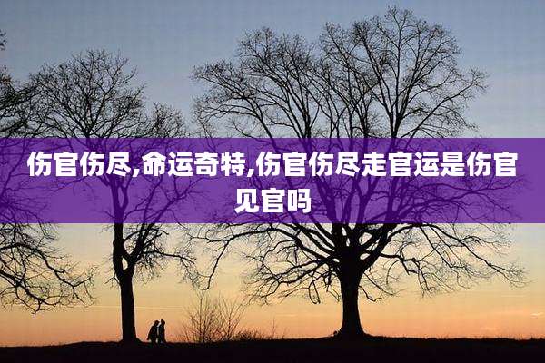 伤官伤尽,命运奇特,伤官伤尽走官运是伤官见官吗