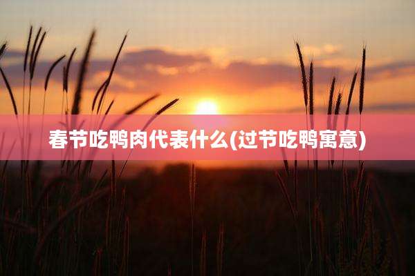 春节吃鸭肉代表什么(过节吃鸭寓意)
