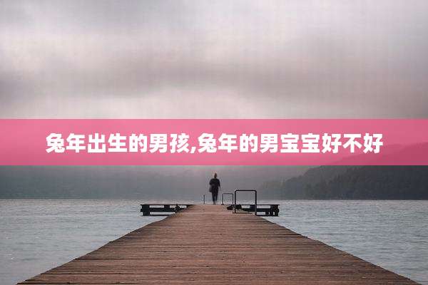 兔年出生的男孩,兔年的男宝宝好不好