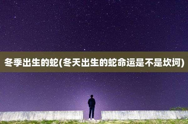 冬季出生的蛇(冬天出生的蛇命运是不是坎坷)