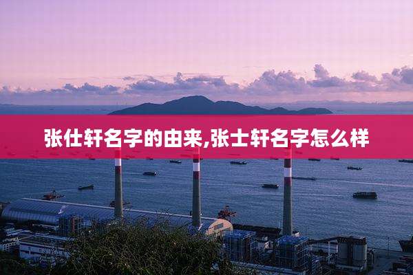 张仕轩名字的由来,张士轩名字怎么样
