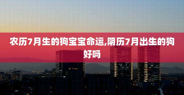 农历7月生的狗宝宝命运,阴历7月出生的狗好吗
