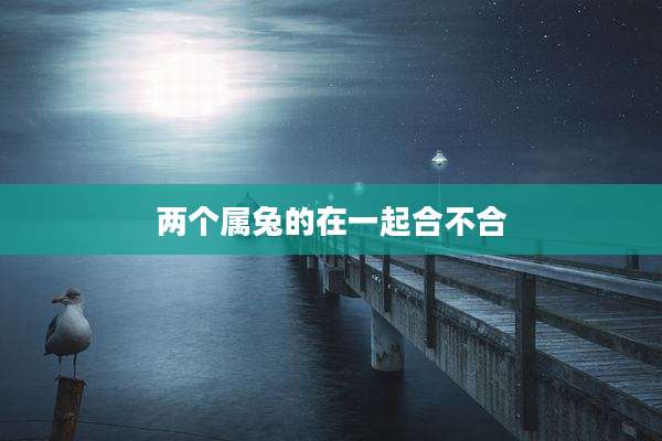 两个属兔的在一起合不合