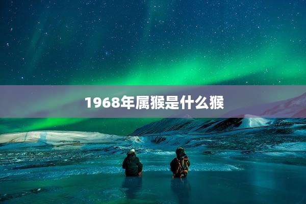 1968年属猴是什么猴