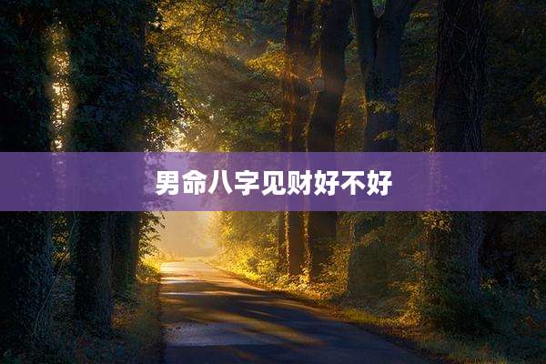 男命八字见财好不好