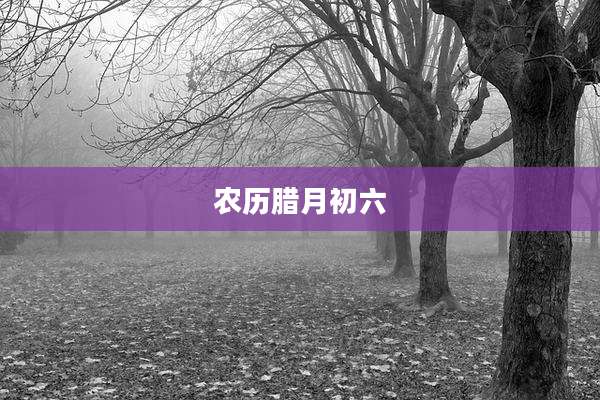 农历腊月初六