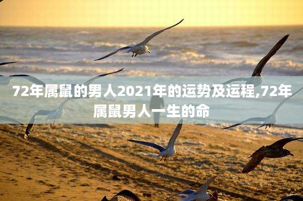 72年属鼠的男人2021年的运势及运程,72年属鼠男人一生的命
