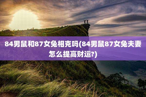 84男鼠和87女兔相克吗(84男鼠87女兔夫妻怎么提高财运?)