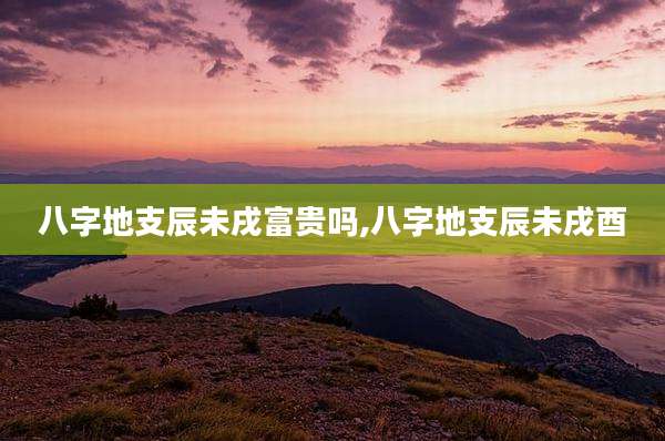 八字地支辰未戌富贵吗,八字地支辰未戌酉