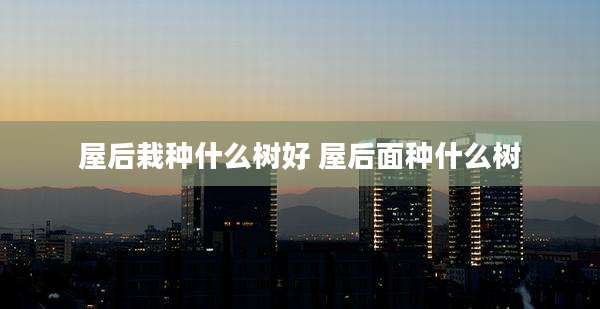 屋后栽种什么树好 屋后面种什么树