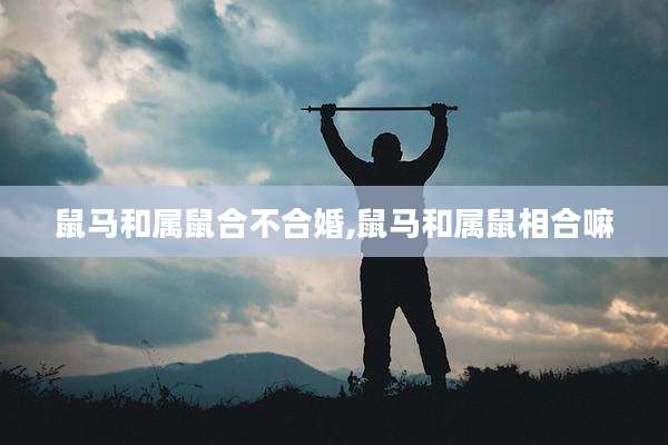 鼠马和属鼠合不合婚,鼠马和属鼠相合嘛