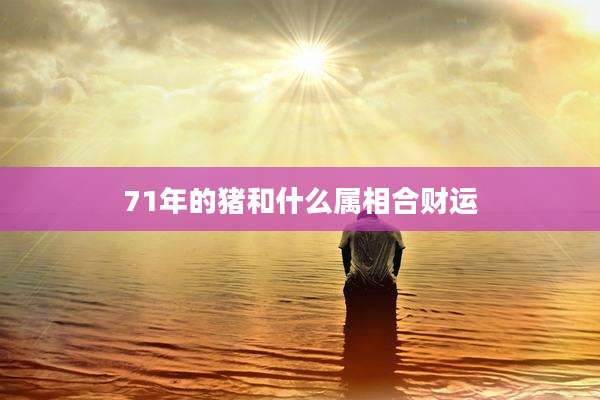 71年的猪和什么属相合财运