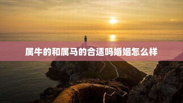 属牛的和属马的合适吗婚姻怎么样