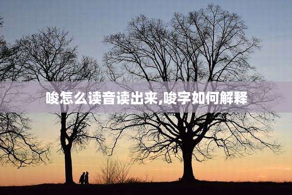 唆怎么读音读出来,唆字如何解释