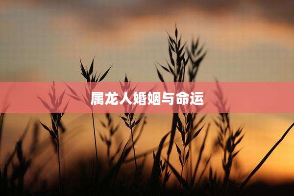 属龙人婚姻与命运