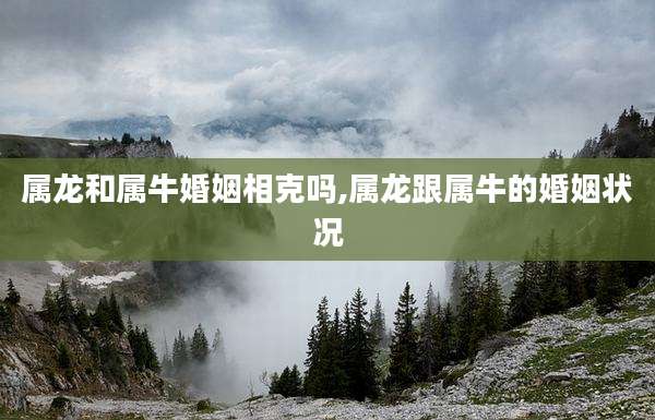 属龙和属牛婚姻相克吗,属龙跟属牛的婚姻状况