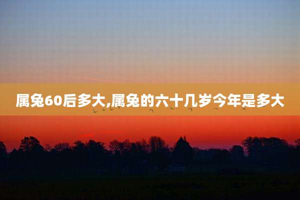 属兔60后多大,属兔的六十几岁今年是多大