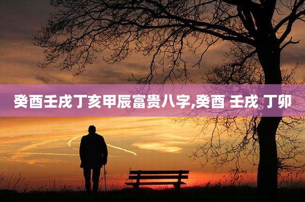 癸酉壬戌丁亥甲辰富贵八字,癸酉 壬戌 丁卯