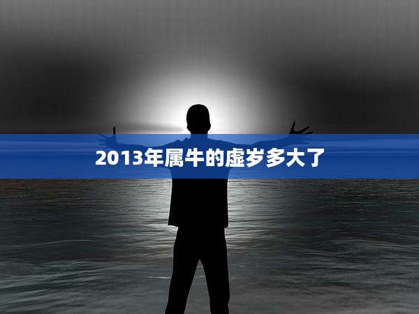 2013年属牛的虚岁多大了