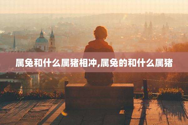 属兔和什么属猪相冲,属兔的和什么属猪